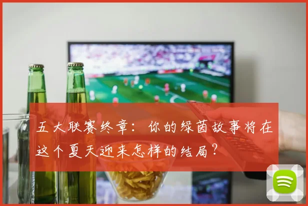 五大联赛终章:你的绿茵故事将在这个夏天迎来怎样的结局?